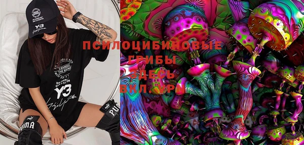 прущая мука Алзамай