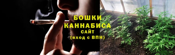 трава Абаза