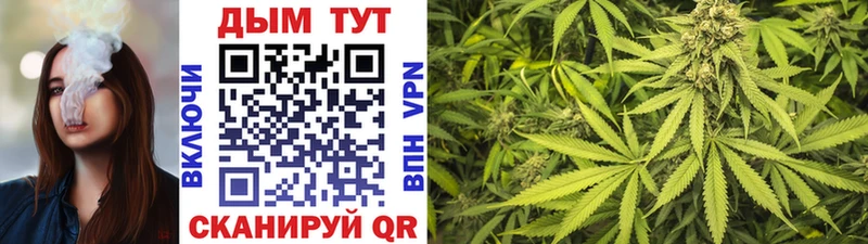 Конопля THC 21%  MEGA зеркало  Новоуральск  где найти  